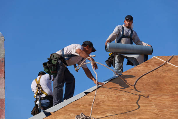 Best Roof Leak Repair  in Dutch Island, GA
