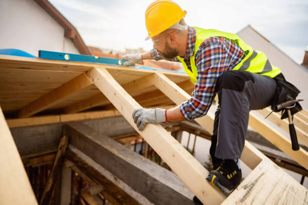 Best Roof Gutter Cleaning  in Dutch Island, GA