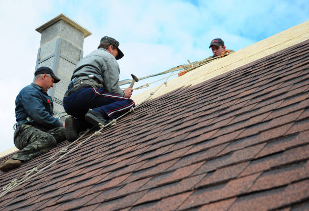Best Roof Waterproofing Services  in Dutch Island, GA